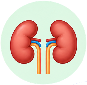Renal